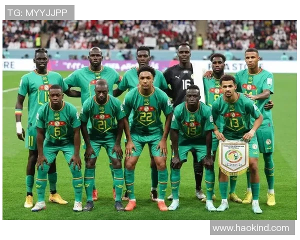 塞内加尔足球明星介绍及其在国际赛场的辉煌表现与成就 塞内加尔足球明星介绍及其在国际赛场的辉煌表现与成就